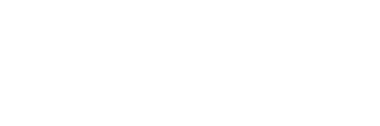 Nederlandse Muziekschool Logo New Website